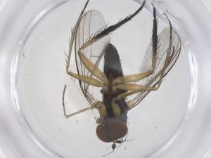  ( - CBG-B16416-C08)  @11 [ ] CreativeCommons - Attribution Share - Alike (2025) Centre for Biodiversity Genomics Centre for Biodiversity Genomics