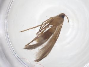  ( - CBG-B16421-H09)  @11 [ ] CreativeCommons - Attribution Share - Alike (2025) Centre for Biodiversity Genomics Centre for Biodiversity Genomics