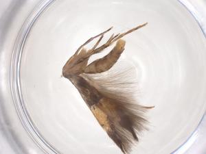  ( - CBG-B16509-H07)  @11 [ ] CreativeCommons - Attribution Share - Alike (2025) Centre for Biodiversity Genomics Centre for Biodiversity Genomics