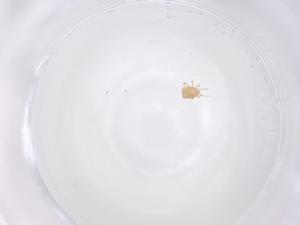  ( - CBG-B16510-A01)  @11 [ ] CreativeCommons - Attribution Share - Alike (2025) Centre for Biodiversity Genomics Centre for Biodiversity Genomics