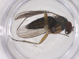  ( - CBG-B16583-F05)  @11 [ ] CreativeCommons - Attribution Share - Alike (2025) Centre for Biodiversity Genomics Centre for Biodiversity Genomics