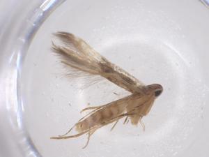  ( - CBG-B16588-E05)  @11 [ ] CreativeCommons - Attribution Share - Alike (2025) Centre for Biodiversity Genomics Centre for Biodiversity Genomics