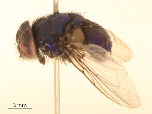  ( - CBG-B24050-G05)  @11 [ ] CreativeCommons - Attribution Share - Alike (2025) CBG Photography Group Centre for Biodiversity Genomics