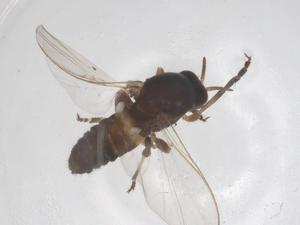  ( - CBG-B15587-F11)  @11 [ ] CreativeCommons - Attribution Share - Alike (2025) Centre for Biodiversity Genomics Centre for Biodiversity Genomics