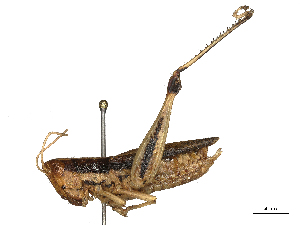  ( - CBG-B24012-D04)  @11 [ ] CreativeCommons - Attribution Share - Alike (2025) CBG Photography Group Centre for Biodiversity Genomics