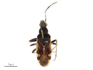  ( - CBG-B24012-F02)  @11 [ ] CreativeCommons - Attribution Share - Alike (2025) CBG Photography Group Centre for Biodiversity Genomics