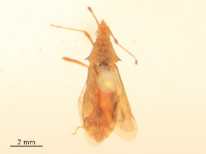  ( - CBG-B24022-E02)  @11 [ ] CreativeCommons - Attribution Share - Alike (2025) CBG Photography Group Centre for Biodiversity Genomics