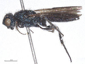  ( - CBG-B15972-E01)  @11 [ ] CreativeCommons - Attribution Share - Alike (2025) CBG Photography Group Centre for Biodiversity Genomics