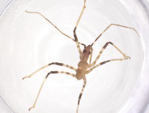  ( - CBG-B16052-H04)  @11 [ ] CreativeCommons - Attribution Share - Alike (2025) Centre for Biodiversity Genomics Centre for Biodiversity Genomics