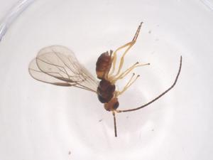  ( - CBG-B16119-C04)  @11 [ ] CreativeCommons - Attribution Share - Alike (2025) Centre for Biodiversity Genomics Centre for Biodiversity Genomics