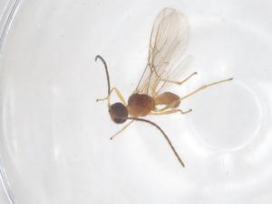  ( - CBG-B16122-H02)  @11 [ ] CreativeCommons - Attribution Share - Alike (2025) Centre for Biodiversity Genomics Centre for Biodiversity Genomics