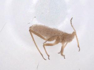  ( - CBG-B16124-D11)  @11 [ ] CreativeCommons - Attribution Share - Alike (2025) Centre for Biodiversity Genomics Centre for Biodiversity Genomics