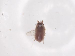  ( - CBG-B16386-E07)  @11 [ ] CreativeCommons - Attribution Share - Alike (2025) Centre for Biodiversity Genomics Centre for Biodiversity Genomics