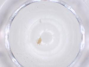  ( - CBG-B16568-D10)  @11 [ ] CreativeCommons - Attribution Share - Alike (2025) Centre for Biodiversity Genomics Centre for Biodiversity Genomics