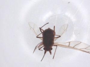  ( - CBG-B23969-E08)  @11 [ ] CreativeCommons - Attribution Share - Alike (2025) Centre for Biodiversity Genomics Centre for Biodiversity Genomics