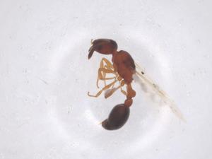  ( - CBG-B23969-F03)  @11 [ ] CreativeCommons - Attribution Share - Alike (2025) Centre for Biodiversity Genomics Centre for Biodiversity Genomics