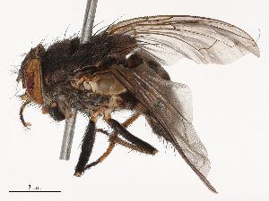  ( - CBG-B24016-H02)  @11 [ ] CreativeCommons - Attribution Share - Alike (2025) CBG Photography Group Centre for Biodiversity Genomics