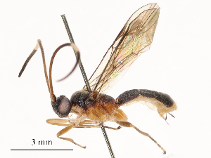  ( - CBG-B24026-E08)  @11 [ ] CreativeCommons - Attribution Share - Alike (2025) CBG Photography Group Centre for Biodiversity Genomics