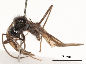  ( - CBG-B24026-F10)  @11 [ ] CreativeCommons - Attribution Share - Alike (2025) CBG Photography Group Centre for Biodiversity Genomics