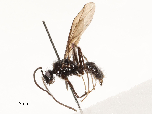  ( - CBG-B24026-F11)  @11 [ ] CreativeCommons - Attribution Share - Alike (2025) CBG Photography Group Centre for Biodiversity Genomics