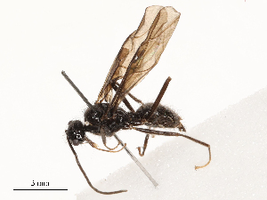  ( - CBG-B24026-F12)  @11 [ ] CreativeCommons - Attribution Share - Alike (2025) CBG Photography Group Centre for Biodiversity Genomics