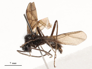  ( - CBG-B24026-G03)  @11 [ ] CreativeCommons - Attribution Share - Alike (2025) CBG Photography Group Centre for Biodiversity Genomics