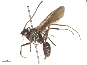  ( - CBG-B24030-A07)  @11 [ ] CreativeCommons - Attribution Share - Alike (2025) CBG Photography Group Centre for Biodiversity Genomics