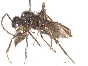  ( - CBG-B24030-B02)  @11 [ ] CreativeCommons - Attribution Share - Alike (2025) CBG Photography Group Centre for Biodiversity Genomics