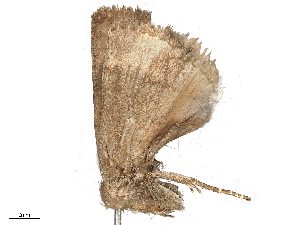  ( - CBG-B24042-E02)  @11 [ ] CreativeCommons - Attribution Share - Alike (2025) CBG Photography Group Centre for Biodiversity Genomics