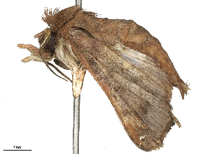  ( - CBG-B24042-E03)  @11 [ ] CreativeCommons - Attribution Share - Alike (2025) CBG Photography Group Centre for Biodiversity Genomics