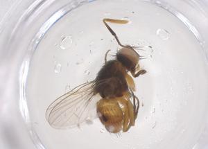  ( - CBG-B24053-E02)  @11 [ ] CreativeCommons - Attribution Share - Alike (2025) Centre for Biodiversity Genomics Centre for Biodiversity Genomics