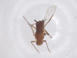  ( - CBG-B24054-D09)  @11 [ ] CreativeCommons - Attribution Share - Alike (2025) Centre for Biodiversity Genomics Centre for Biodiversity Genomics