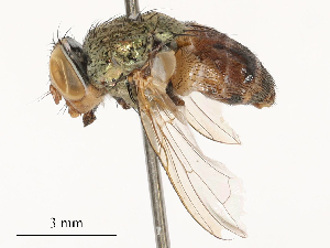  ( - CBG-B24165-G07)  @11 [ ] CreativeCommons - Attribution Share - Alike (2025) CBG Photography Group Centre for Biodiversity Genomics