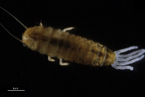  ( - Dem_8_22_Laz_22)  @11 [ ] CreativeCommons  Attribution Non-Commercial Share-Alike (2023) Unspecified University of Lodz