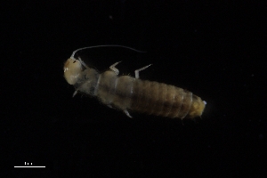  ( - Dem_8_22_Laz_26)  @11 [ ] CreativeCommons  Attribution Non-Commercial Share-Alike (2023) Unspecified University of Lodz