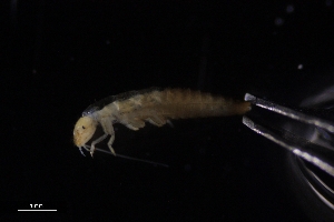  ( - Dem_8_22_Laz_26)  @11 [ ] CreativeCommons  Attribution Non-Commercial Share-Alike (2023) Unspecified University of Lodz