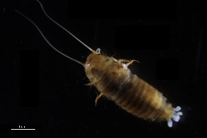  ( - Dem_8_22_Laz_28)  @11 [ ] CreativeCommons  Attribution Non-Commercial Share-Alike (2023) Unspecified University of Lodz