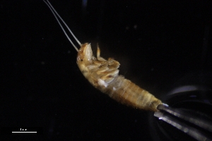  ( - Dem_8_22_Laz_28)  @11 [ ] CreativeCommons  Attribution Non-Commercial Share-Alike (2023) Unspecified University of Lodz