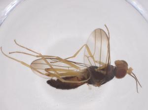  ( - CBG-A59446-B11)  @11 [ ] CreativeCommons - Attribution Share - Alike (2024) Centre for Biodiversity Genomics Centre for Biodiversity Genomics