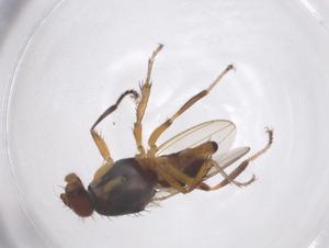  ( - CBG-B00755-H06)  @11 [ ] CreativeCommons - Attribution Share - Alike (2025) Centre for Biodiversity Genomics Centre for Biodiversity Genomics