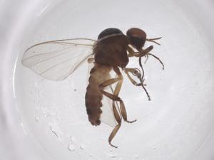  ( - CBG-B01692-A12)  @11 [ ] CreativeCommons - Attribution Share - Alike (2025) Centre for Biodiversity Genomics Centre for Biodiversity Genomics