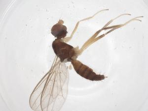  ( - CBG-A64698-B01)  @11 [ ] CreativeCommons - Attribution Share - Alike (2025) Centre for Biodiversity Genomics Centre for Biodiversity Genomics