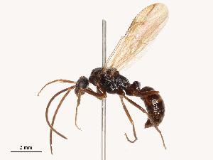  ( - CBG-B00900-D11)  @11 [ ] CreativeCommons - Attribution Share - Alike (2025) CBG Photography Group Centre for Biodiversity Genomics