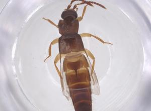  ( - CBG-B02188-E12)  @11 [ ] CreativeCommons - Attribution Share - Alike (2025) Centre for Biodiversity Genomics Centre for Biodiversity Genomics