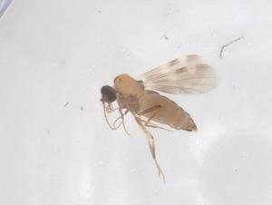  ( - CBG-B02189-D05)  @11 [ ] CreativeCommons - Attribution Share - Alike (2025) Centre for Biodiversity Genomics Centre for Biodiversity Genomics