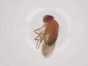  ( - CBG-B02350-B05)  @11 [ ] CreativeCommons - Attribution Share - Alike (2025) Centre for Biodiversity Genomics Centre for Biodiversity Genomics