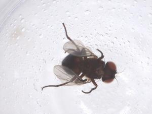  ( - CBG-B02370-C01)  @11 [ ] CreativeCommons - Attribution Share - Alike (2025) Centre for Biodiversity Genomics Centre for Biodiversity Genomics