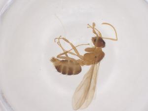  ( - CBG-B02471-D08)  @11 [ ] CreativeCommons - Attribution Share - Alike (2025) Centre for Biodiversity Genomics Centre for Biodiversity Genomics