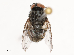  ( - CBG-B02497-E01)  @11 [ ] CreativeCommons - Attribution Share - Alike (2025) CBG Photography Group Centre for Biodiversity Genomics