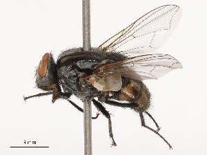  ( - CBG-B02497-E06)  @11 [ ] CreativeCommons - Attribution Share - Alike (2025) CBG Photography Group Centre for Biodiversity Genomics